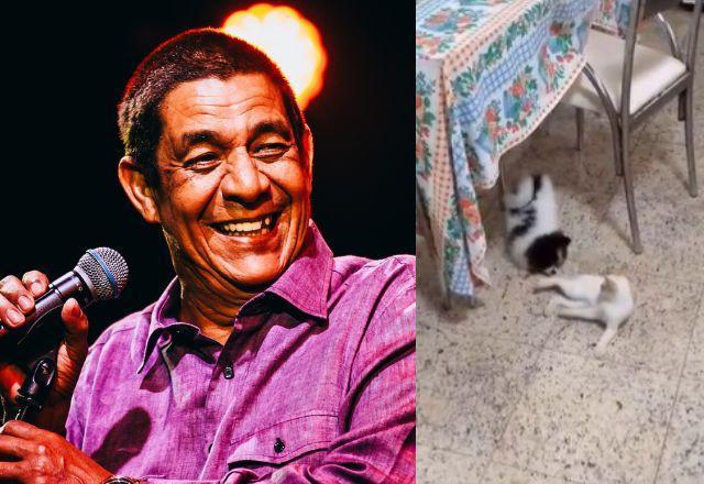 Zeca Pagodinho faz apelo após desaparecimento de gatinha; veja